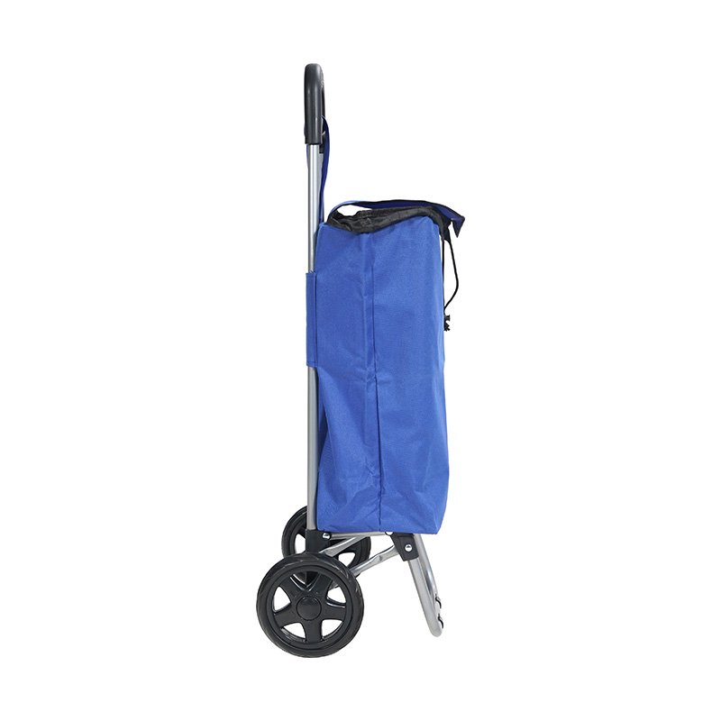 Oeytree Cheaper Supermarket Vegetable Foldable Trolley Shopping bags Portable Shopping Carts