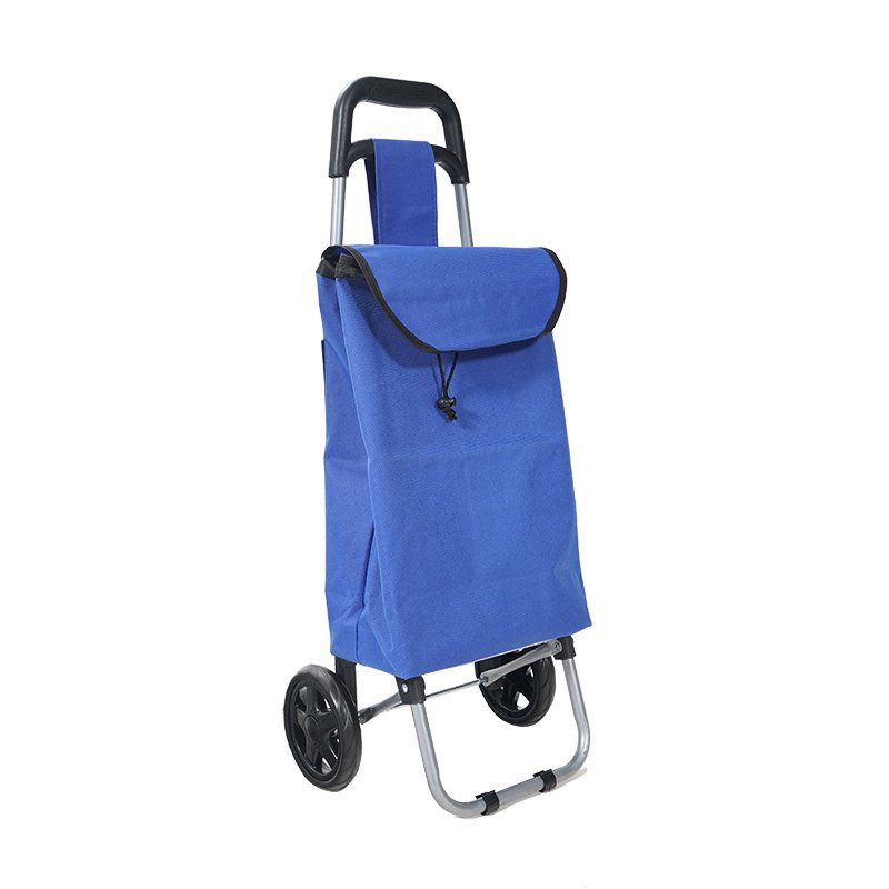 Oeytree Cheaper Supermarket Vegetable Foldable Trolley Shopping bags Portable Shopping Carts