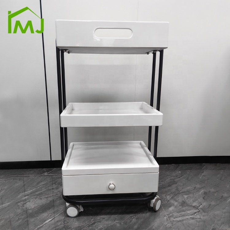 Salon Trolley Cart Rolling Wheels Hairdressing Barber Used Cart Storage Trolley