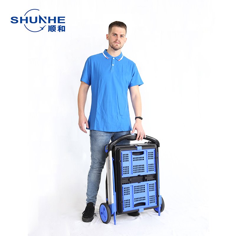 Manufacture Wholesale Supermarket Equipment FW-99G Foldable Two Tier Shopping Trolley Carts For Grocery Store