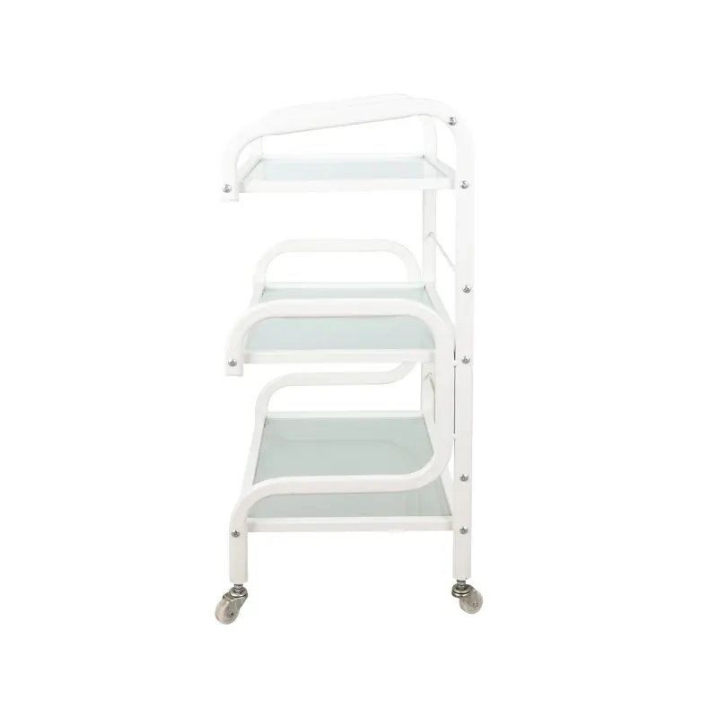 Cheap Price Salon Trolley For Beauty Tools Collecting Beauty Trolley Salon