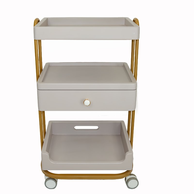 Mobile High Quality Hair Salon Styling Cart Beauty Salon Tool Cart Hair Salon Trolley With four wheels