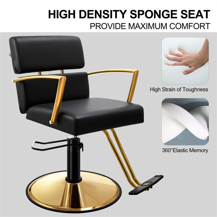 Multi-Function Salon Furniture Chair Modern Gold Styling Salon Chair With High Density Sponge Seat