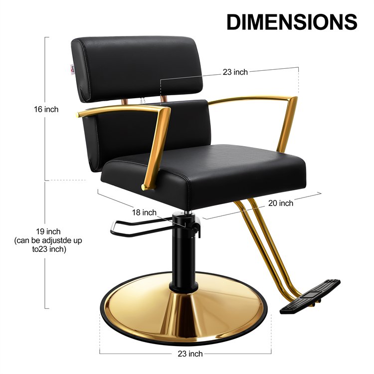 Multi-Function Salon Furniture Chair Modern Gold Styling Salon Chair With High Density Sponge Seat