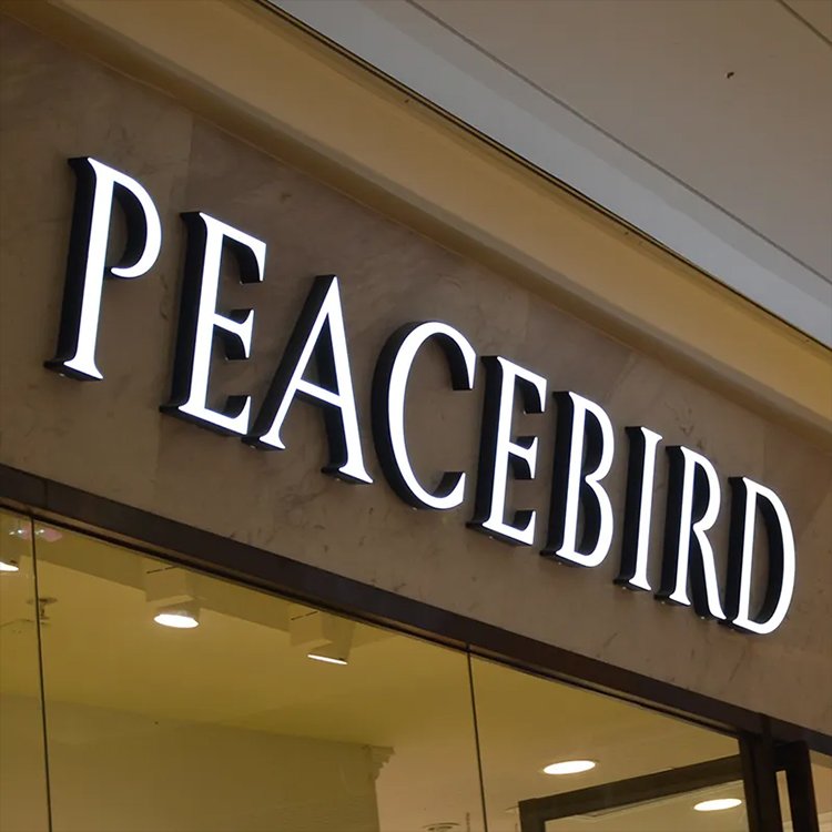 Led Advertising Letter Acrylic Custom Logo Sign Wall Letter Led 3d Custom Signage Office Led Sign Channel Letter Sign