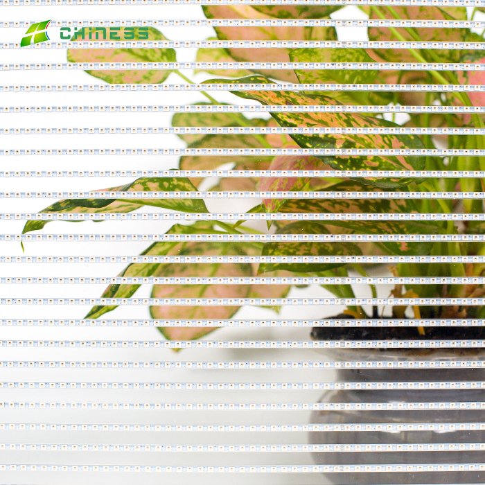CNS P5-10 Led Film Screen Adhesive transparent Flexible Soft Pcb Board Pvc Plastic Clear Video Display Indoor use face outdoor