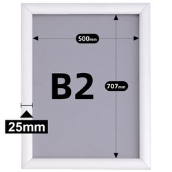 B2