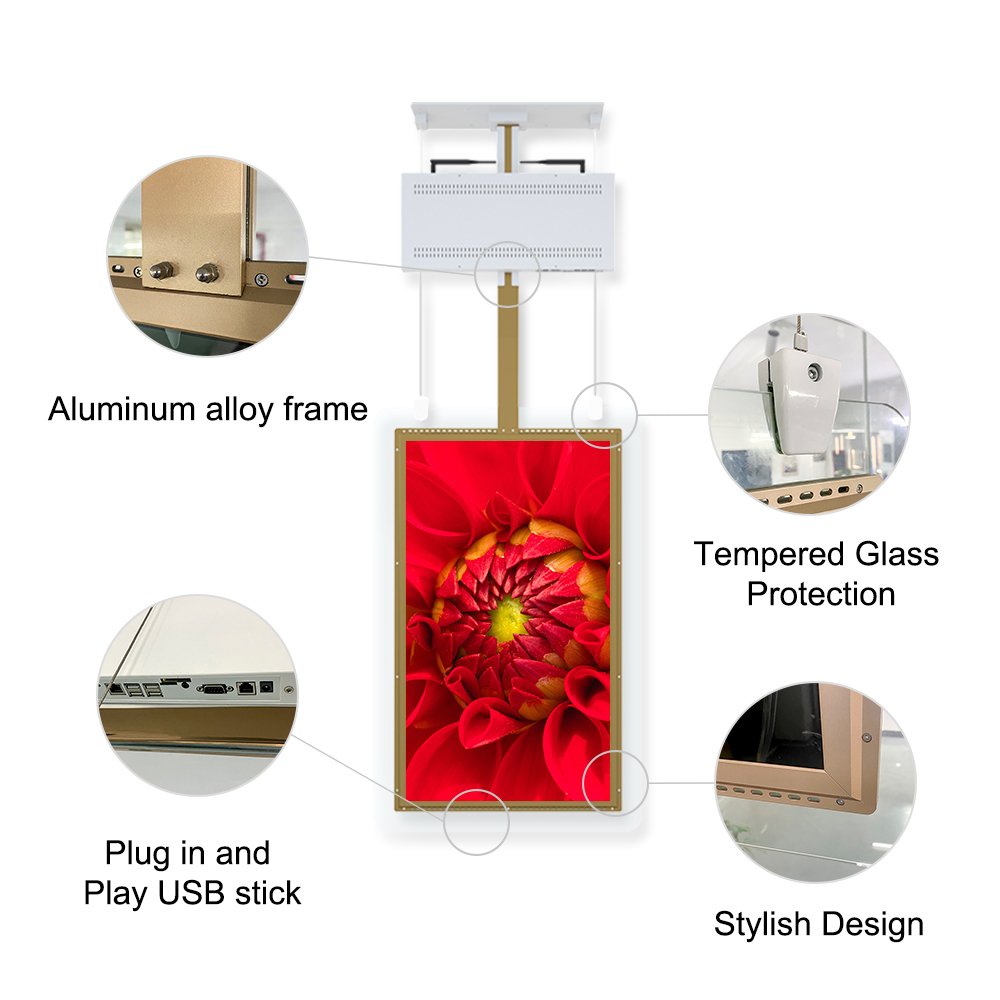 43 Inch Ultra Slim Wall Mounted Advertising Wifi Wall Hanging Digital Window Signage Display