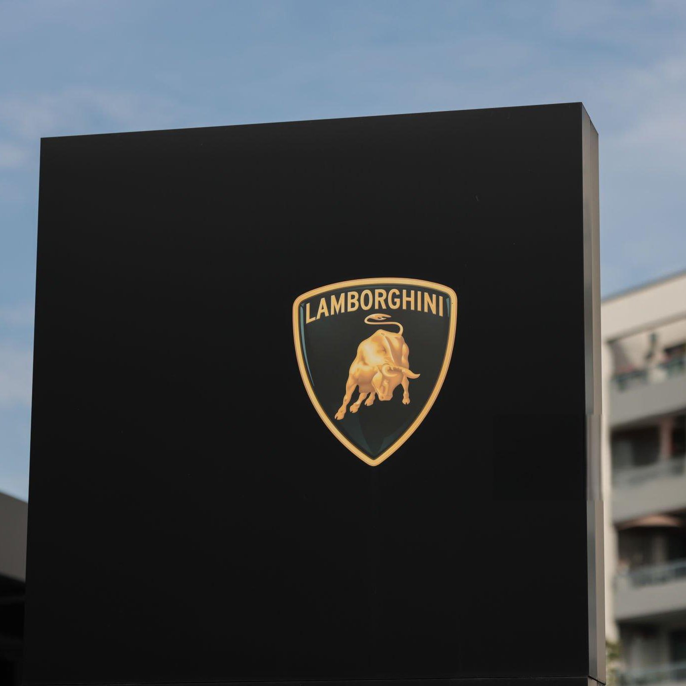 4S Shop Sign Logo Custom Advertising Sign 3D 25 Display Business Sign Advertising Light Boxes Wall Mounted Transformer 220