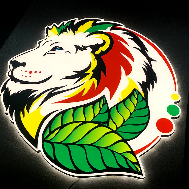 3d Led Logo Designs External Shop Sign 3D Acrylic Letter Logo signboard Acrylic Letters Alphabets custom LED Sign for business