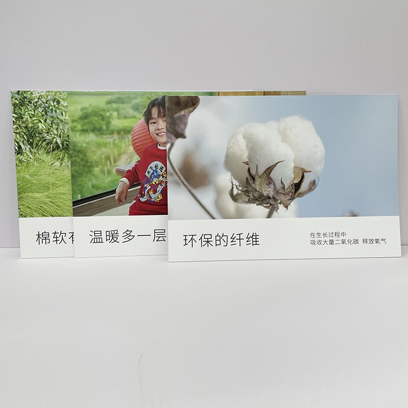 Custom CMYK Digital Print PVC Foam Board Sign, Display Sign Board Printing for Advertising