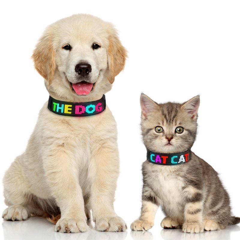 LED Light Up Dog Collar Pet Accessories Wireless APP Customized Luminous LED rechargeable collars harnesses and leashes with LED