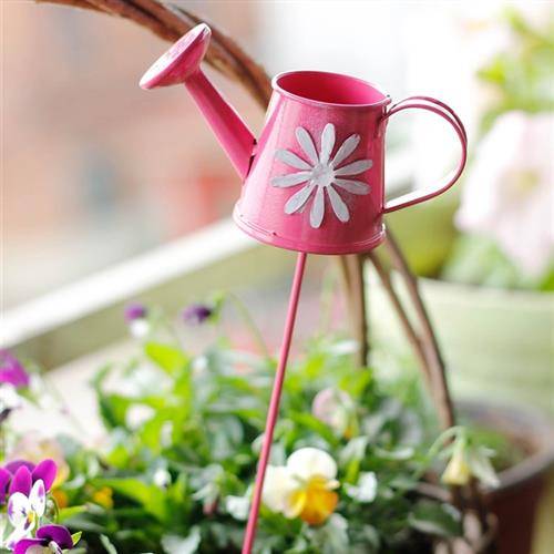 Exit micro -landscape desktop iron -style decorative tin kettle plugin Fairygarden Fairy Garden