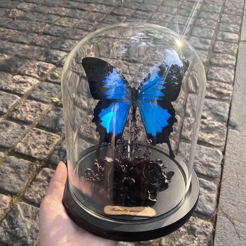 Black Rose Paradise Phoenix Butterfly Butterfly Simagon Glass Cover