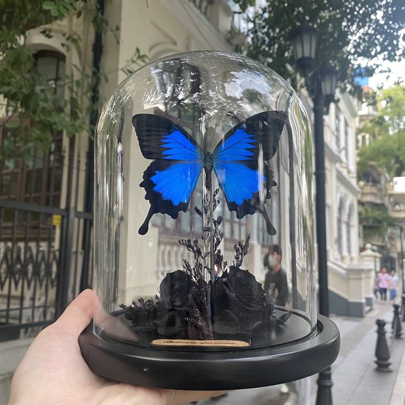 Black Rose Paradise Phoenix Butterfly Butterfly Simagon Glass Cover