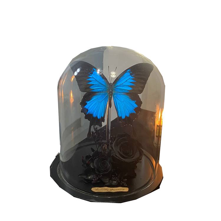 Black Rose Paradise Phoenix Butterfly Butterfly Simagon Glass Cover