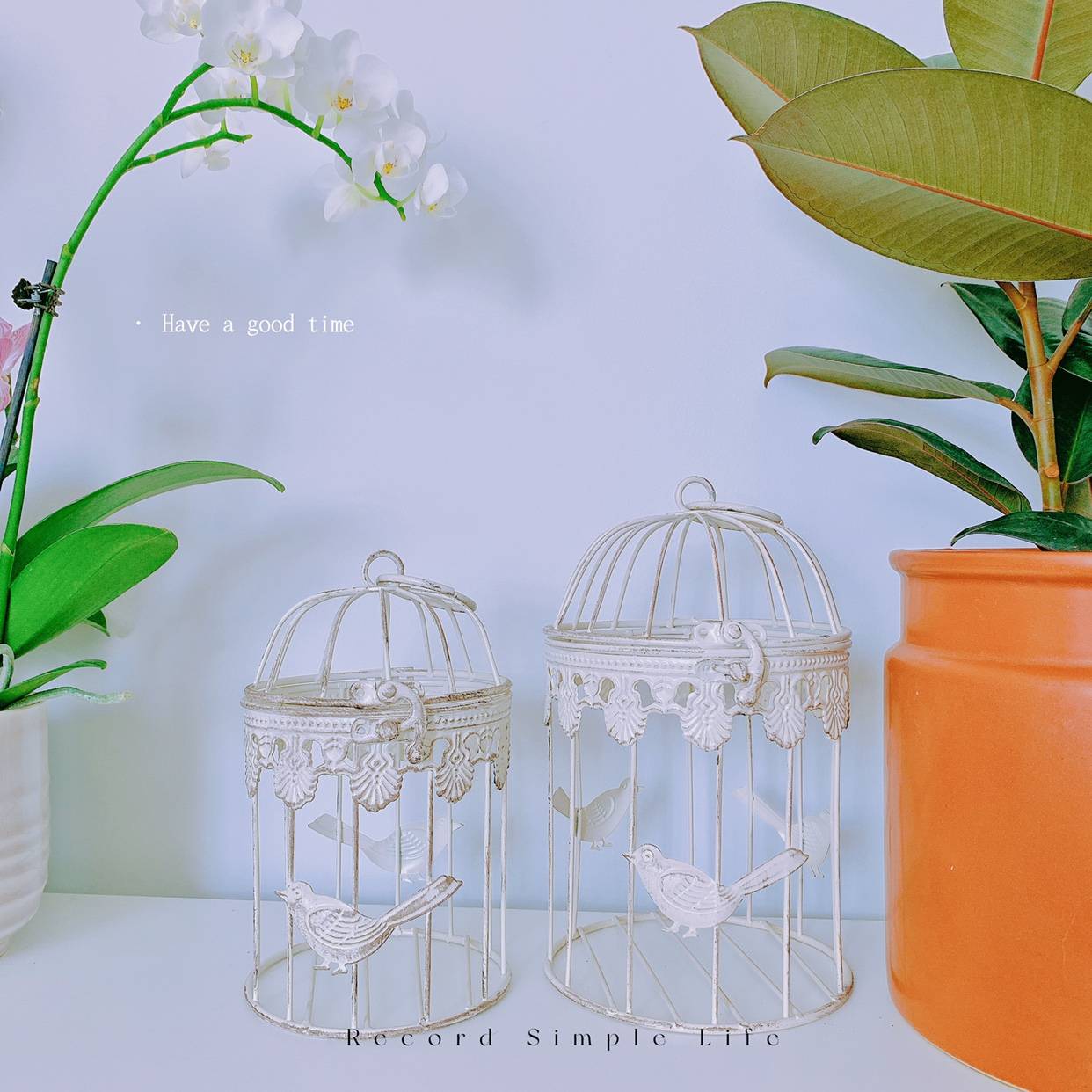 Exporting pastoral garden iron lace as old bird cage suspension decorative home flower ornaments
