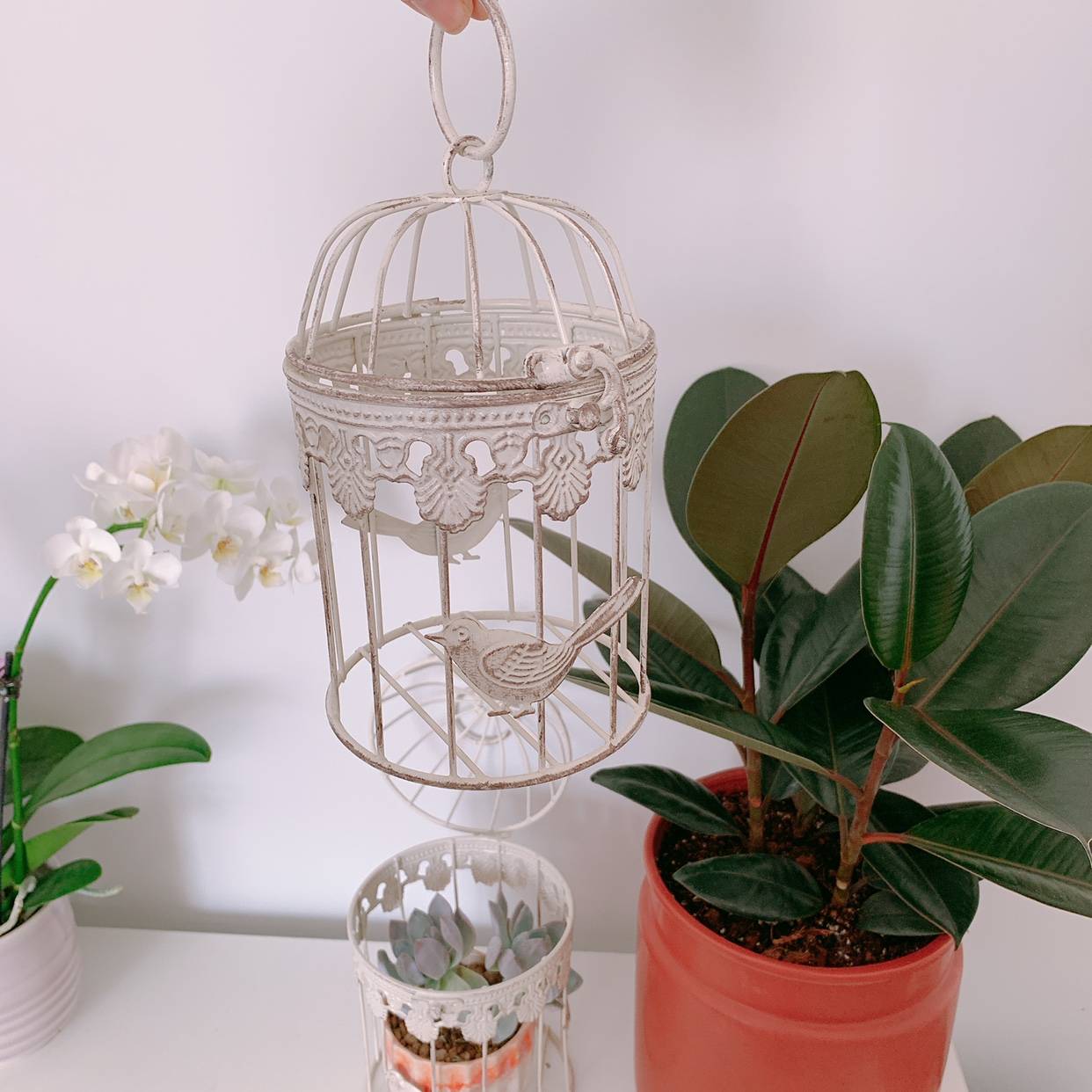 Exporting pastoral garden iron lace as old bird cage suspension decorative home flower ornaments