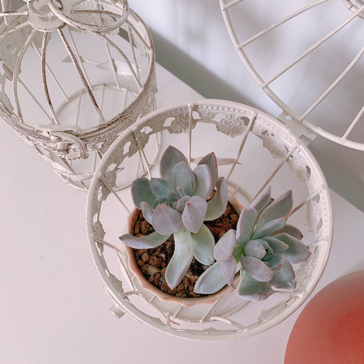 Exporting pastoral garden iron lace as old bird cage suspension decorative home flower ornaments