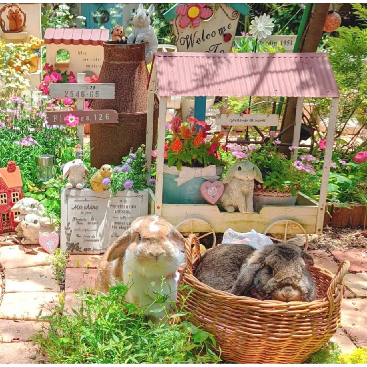 Japanese INS Wind English Book Resin Pot Basin Swing Garden Garden Grocery Decoration