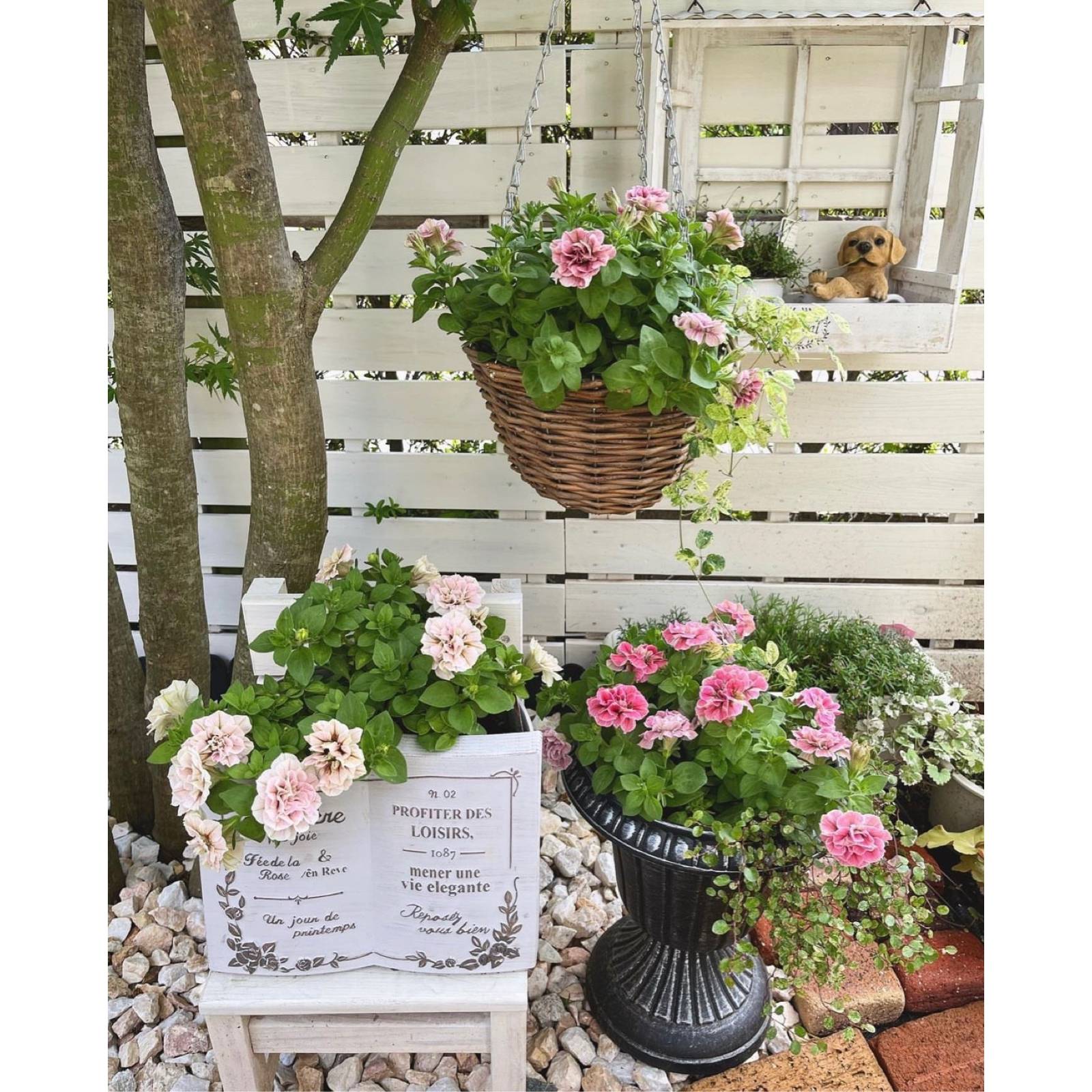 Japanese INS Wind English Book Resin Pot Basin Swing Garden Garden Grocery Decoration