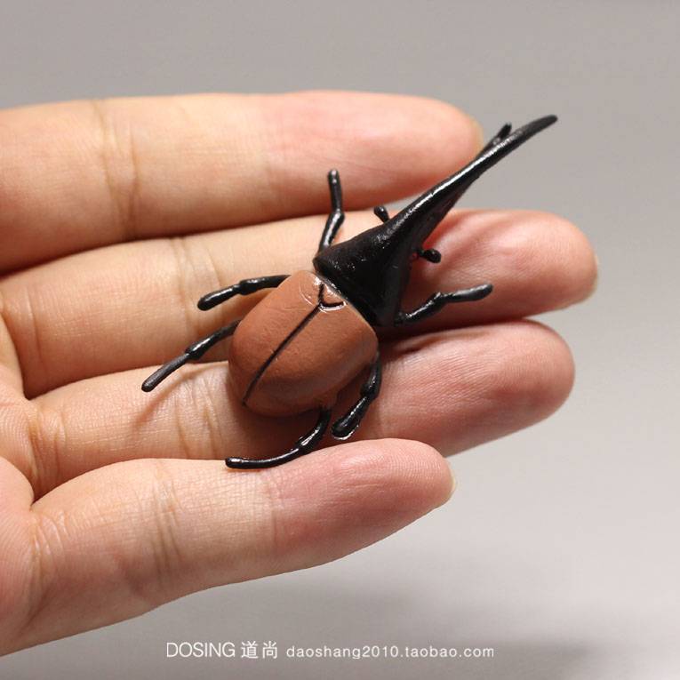 Prose simulation beetle model