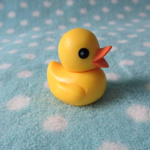 Tail single succulent accessories micro-landscape home decoration DIY ★ Hong Kong-Big Yellow Duck Ducks