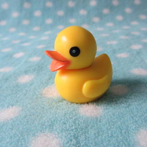 Tail single succulent accessories micro-landscape home decoration DIY ★ Hong Kong-Big Yellow Duck Ducks