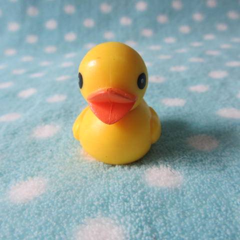Tail single succulent accessories micro-landscape home decoration DIY ★ Hong Kong-Big Yellow Duck Ducks