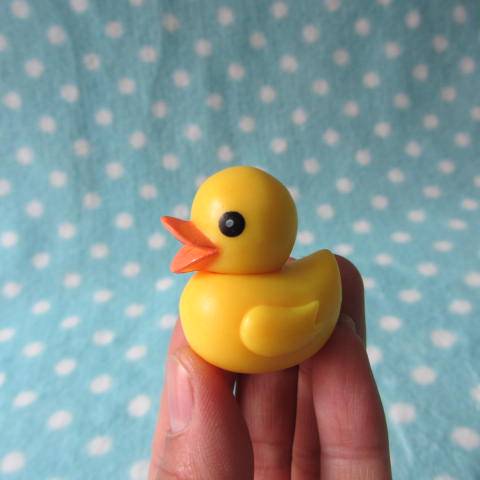 Tail single succulent accessories micro-landscape home decoration DIY ★ Hong Kong-Big Yellow Duck Ducks