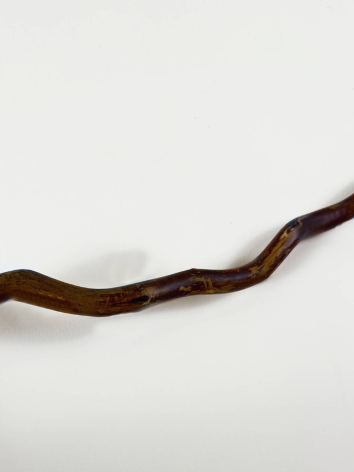 Natural dry branches, dry branches and branches, natural shapes