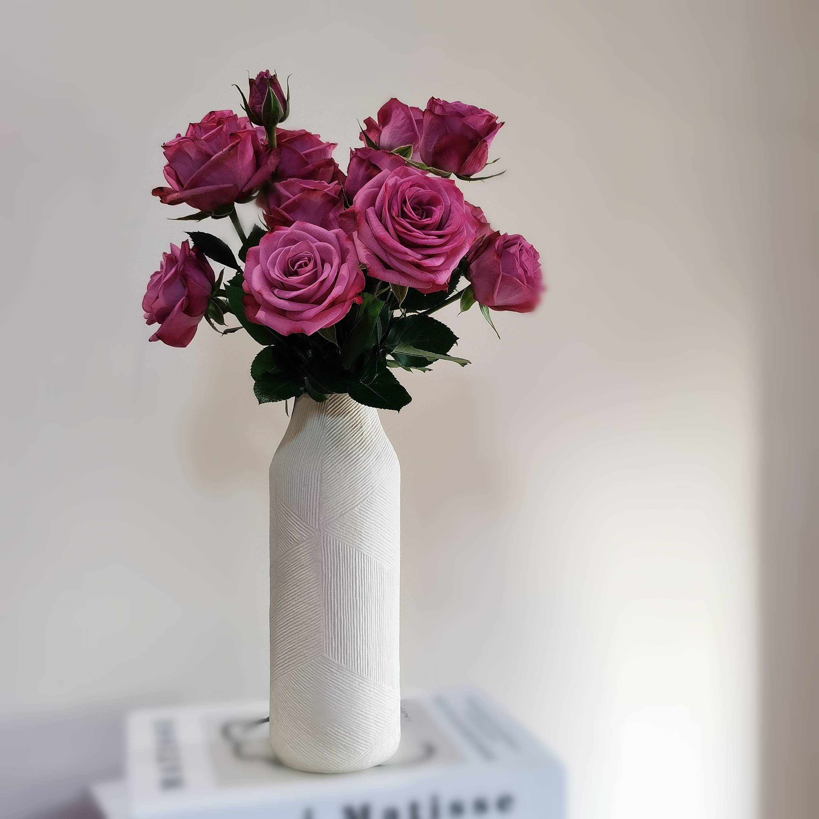 ZA*HOME texture ceramic vase Simple hydroponic