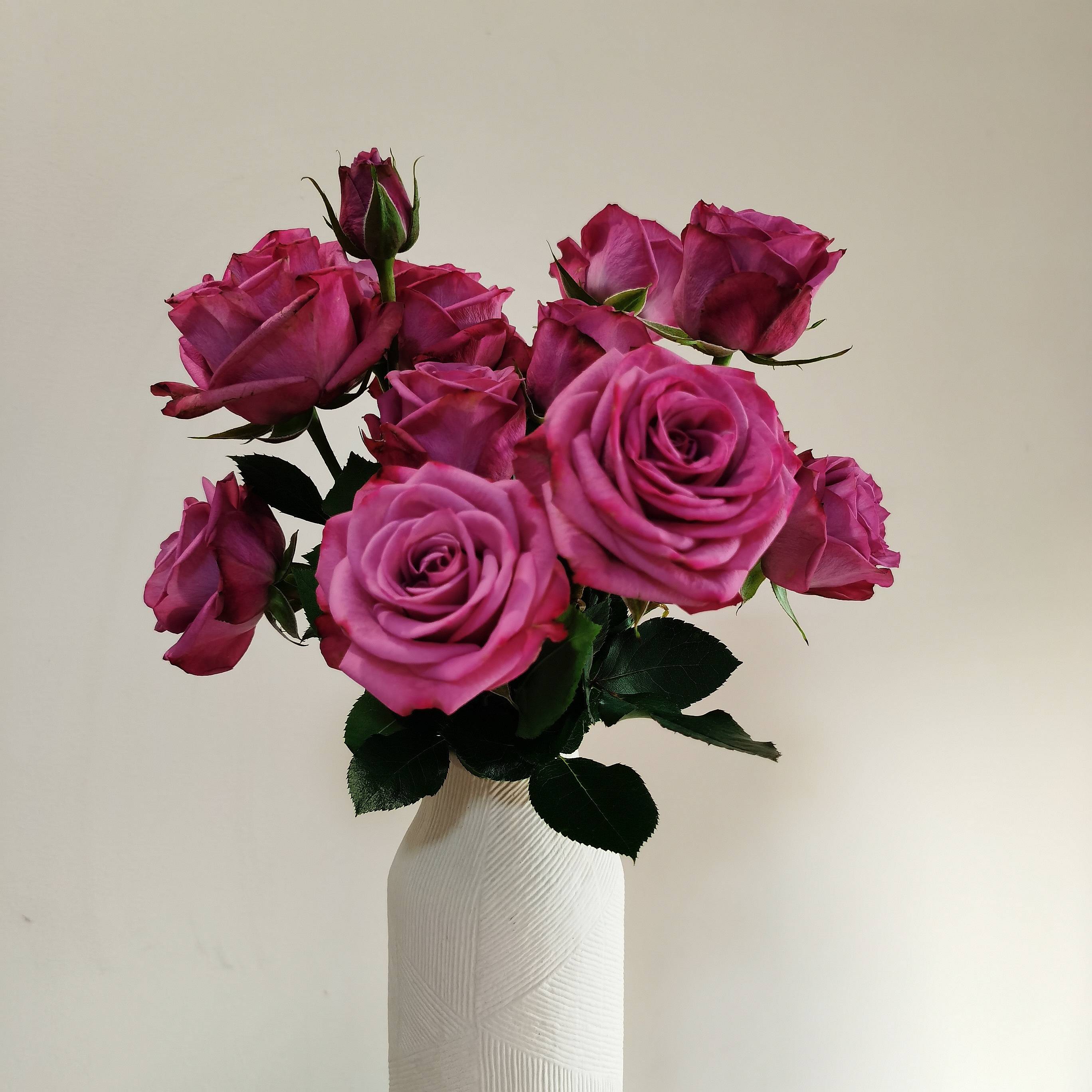 ZA*HOME texture ceramic vase Simple hydroponic