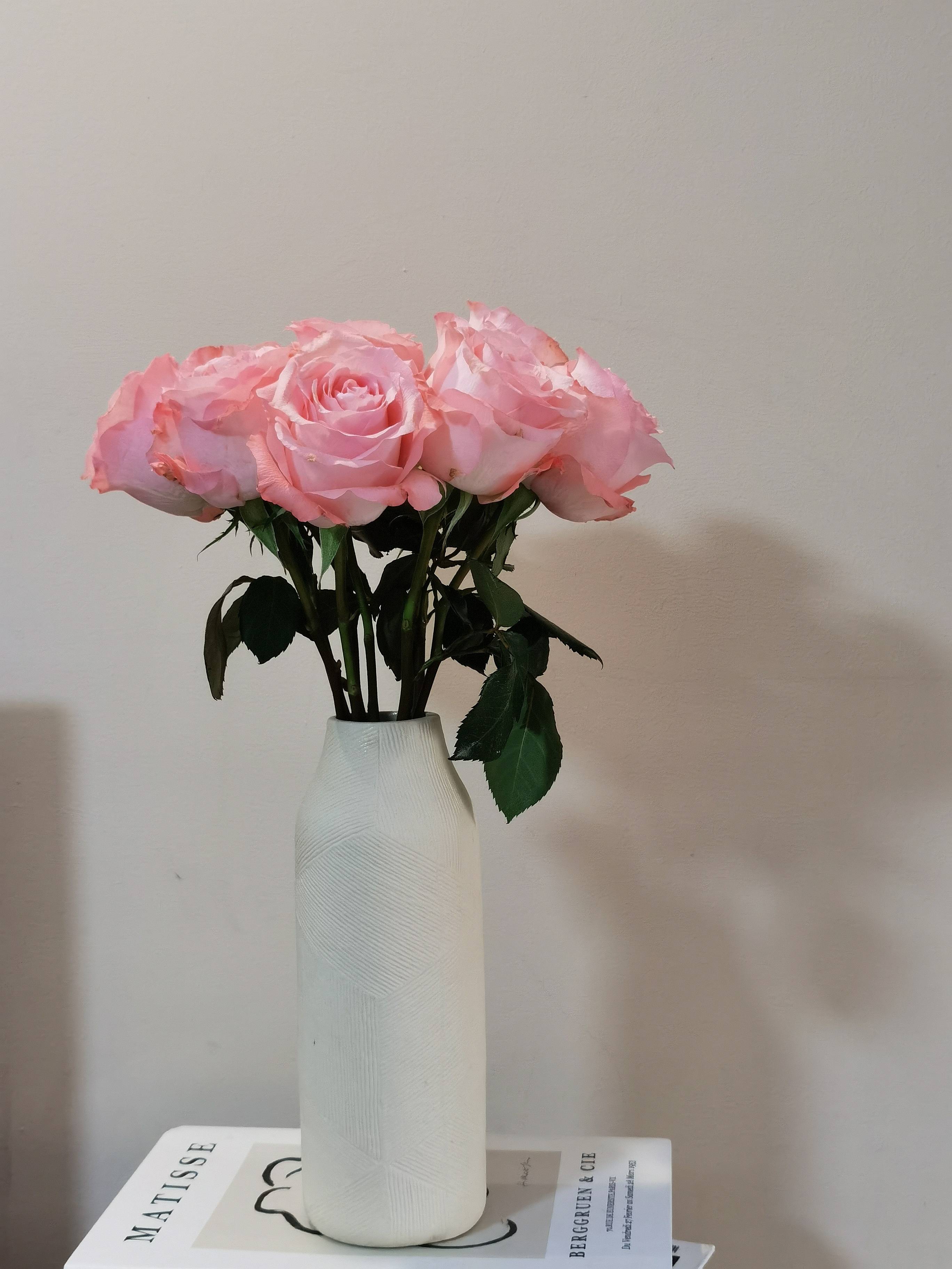 ZA*HOME texture ceramic vase Simple hydroponic