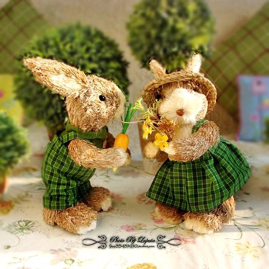 The couple's single -rural wind forest straw decorations