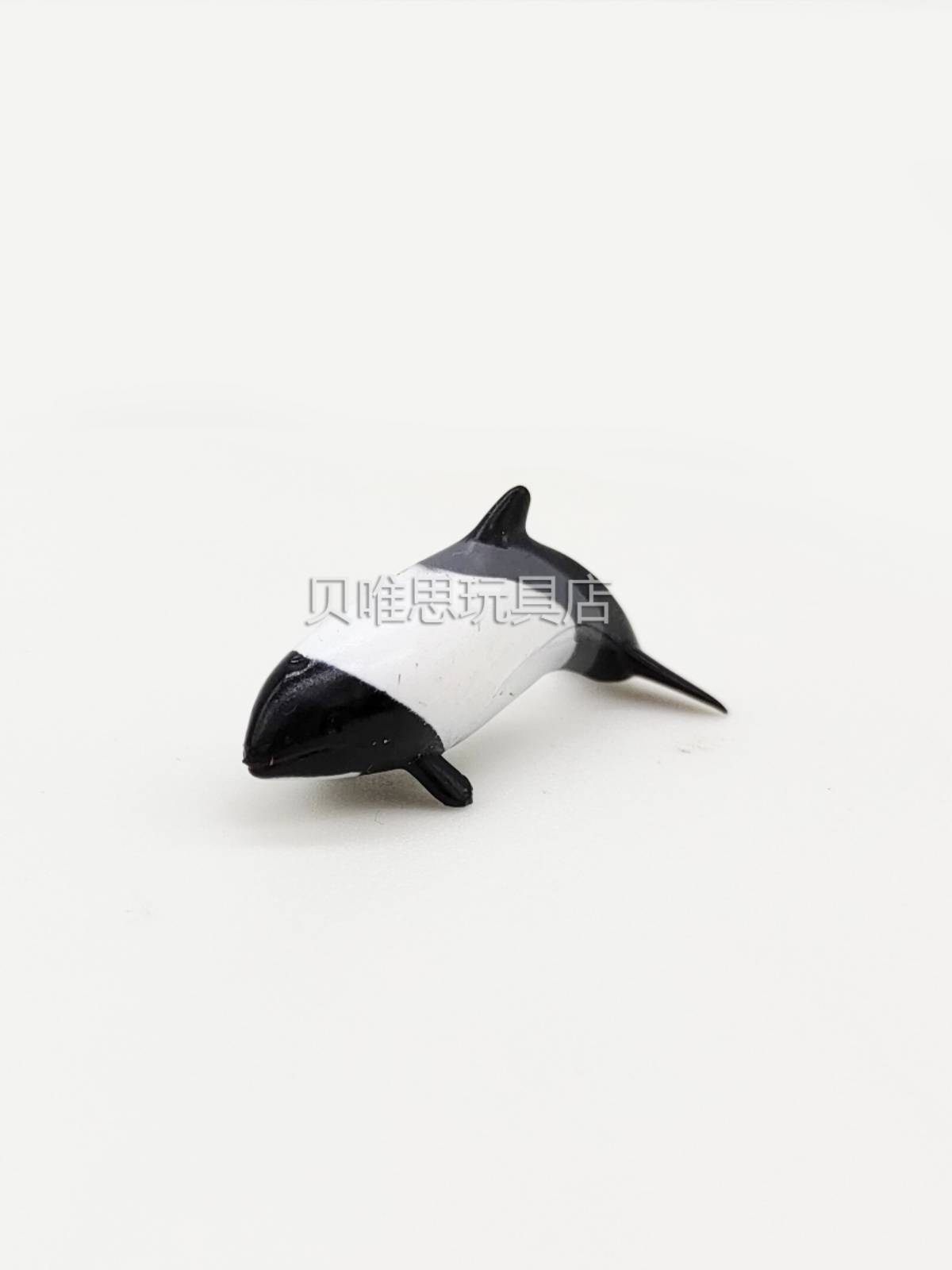 Kang's flower spots, head beak, dwarf dolphin simulation animal model
