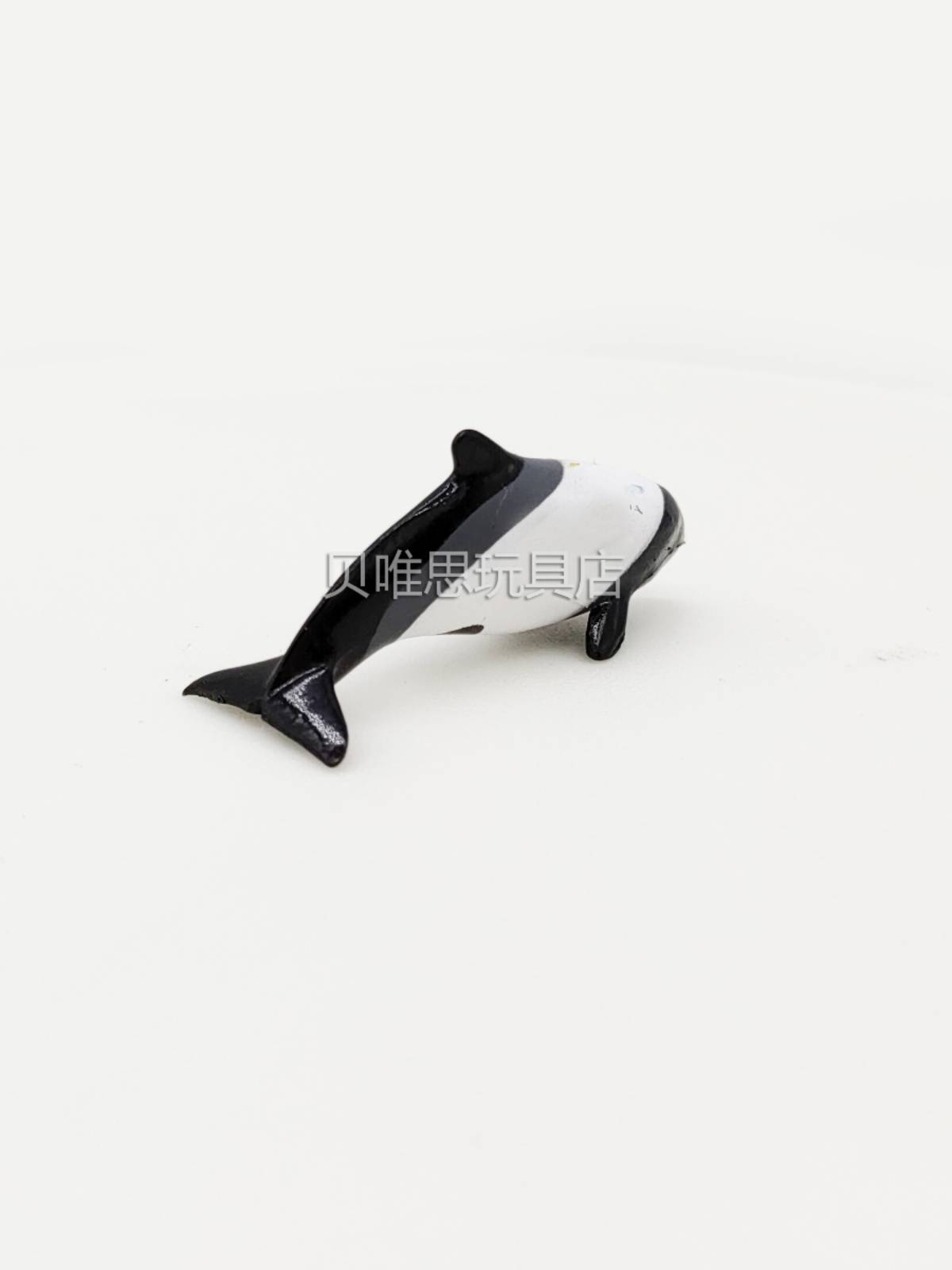 Kang's flower spots, head beak, dwarf dolphin simulation animal model