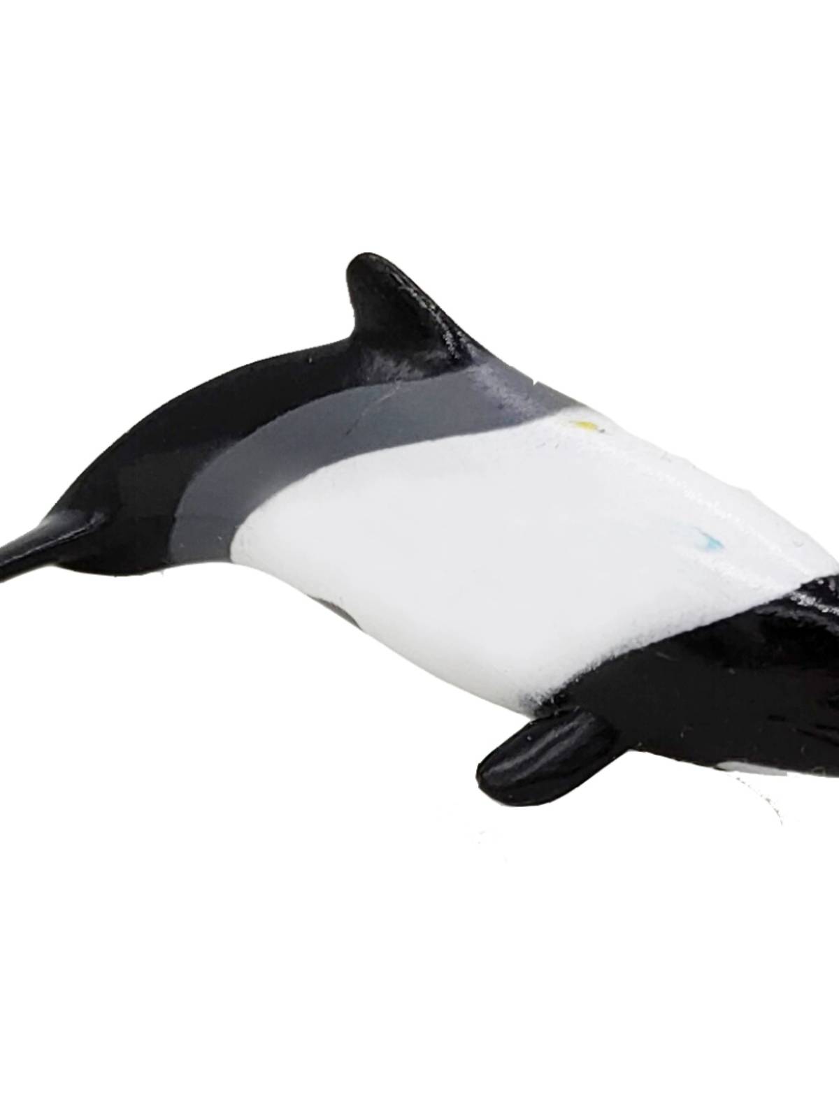 Kang's flower spots, head beak, dwarf dolphin simulation animal model