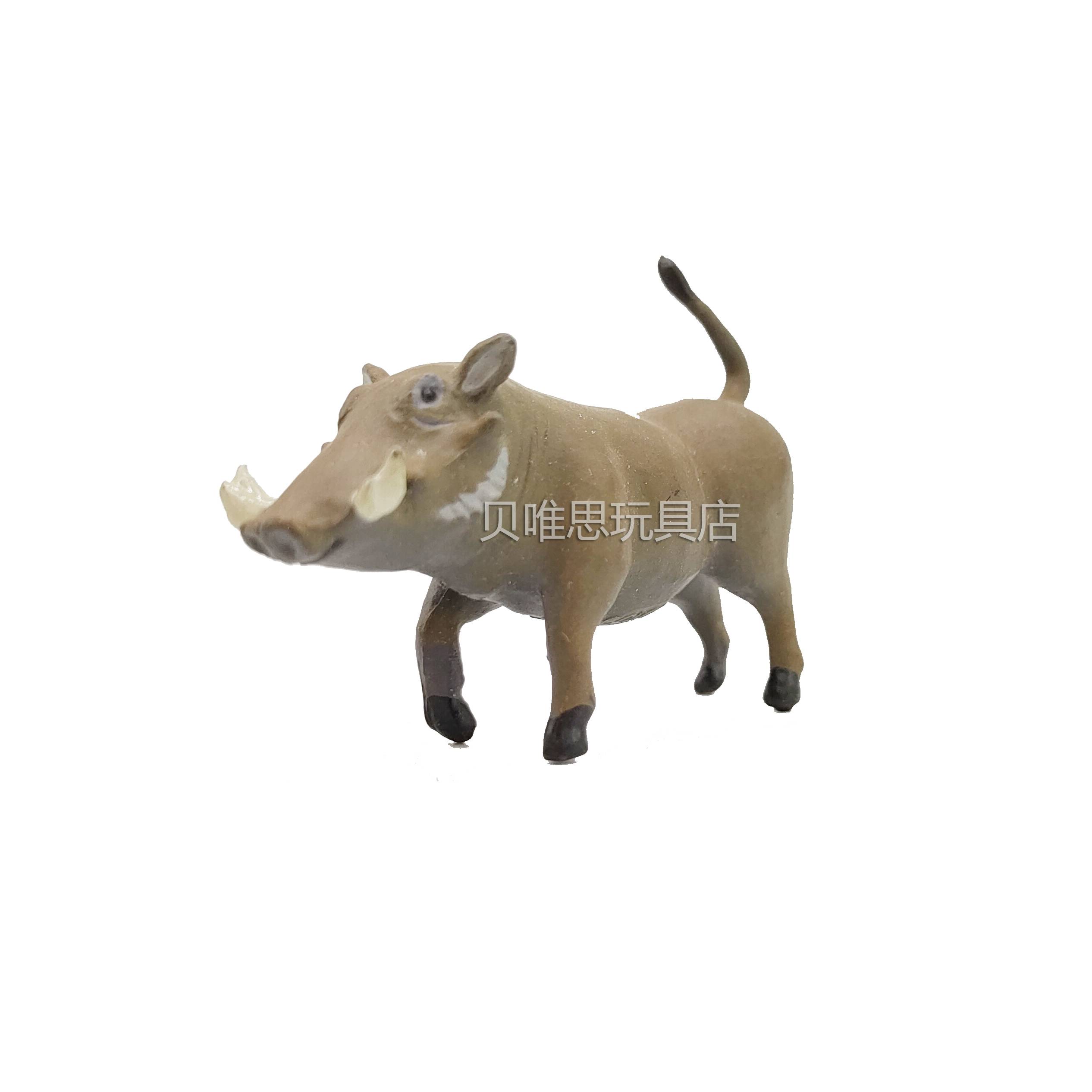 Desert wart simulation wildlife model