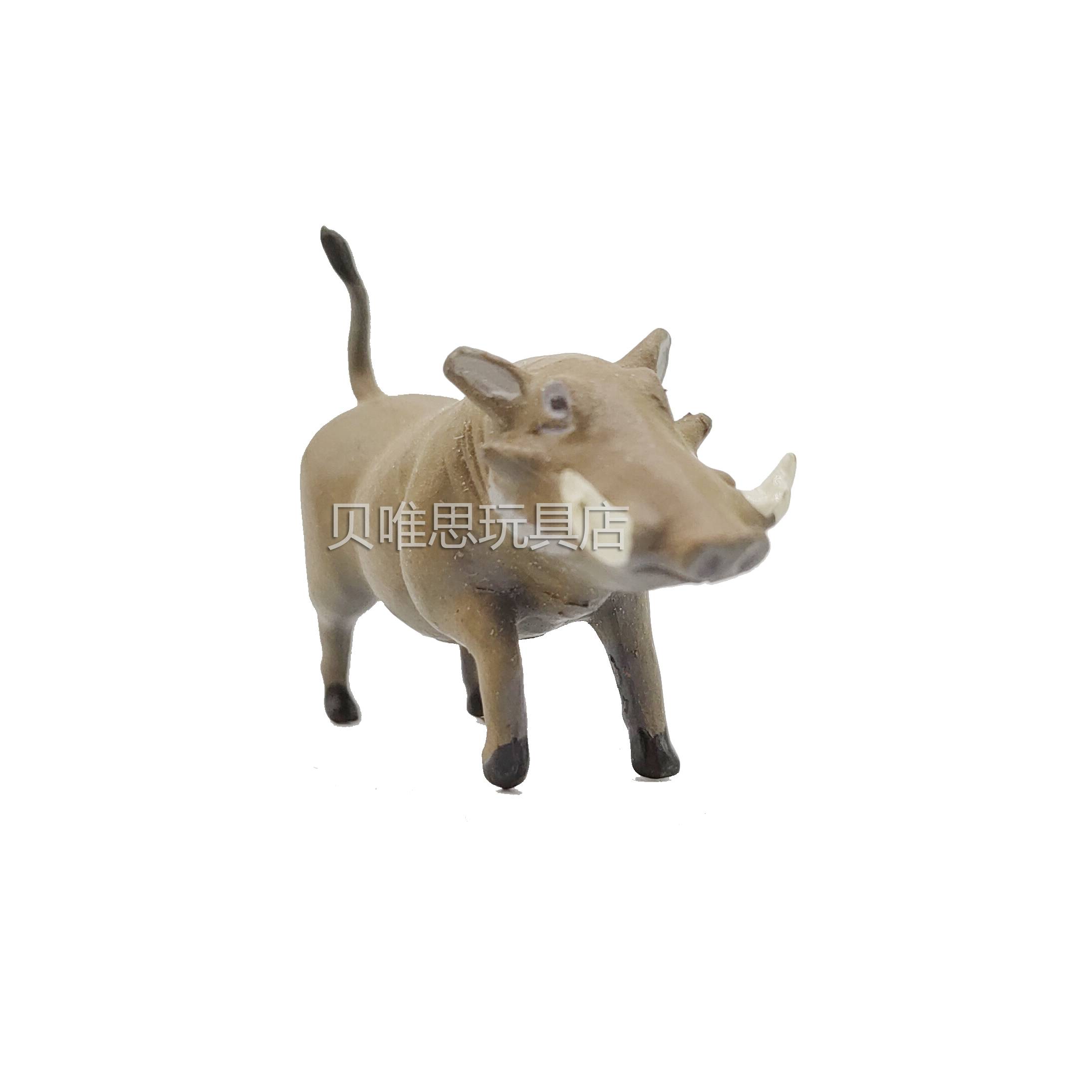 Desert wart simulation wildlife model