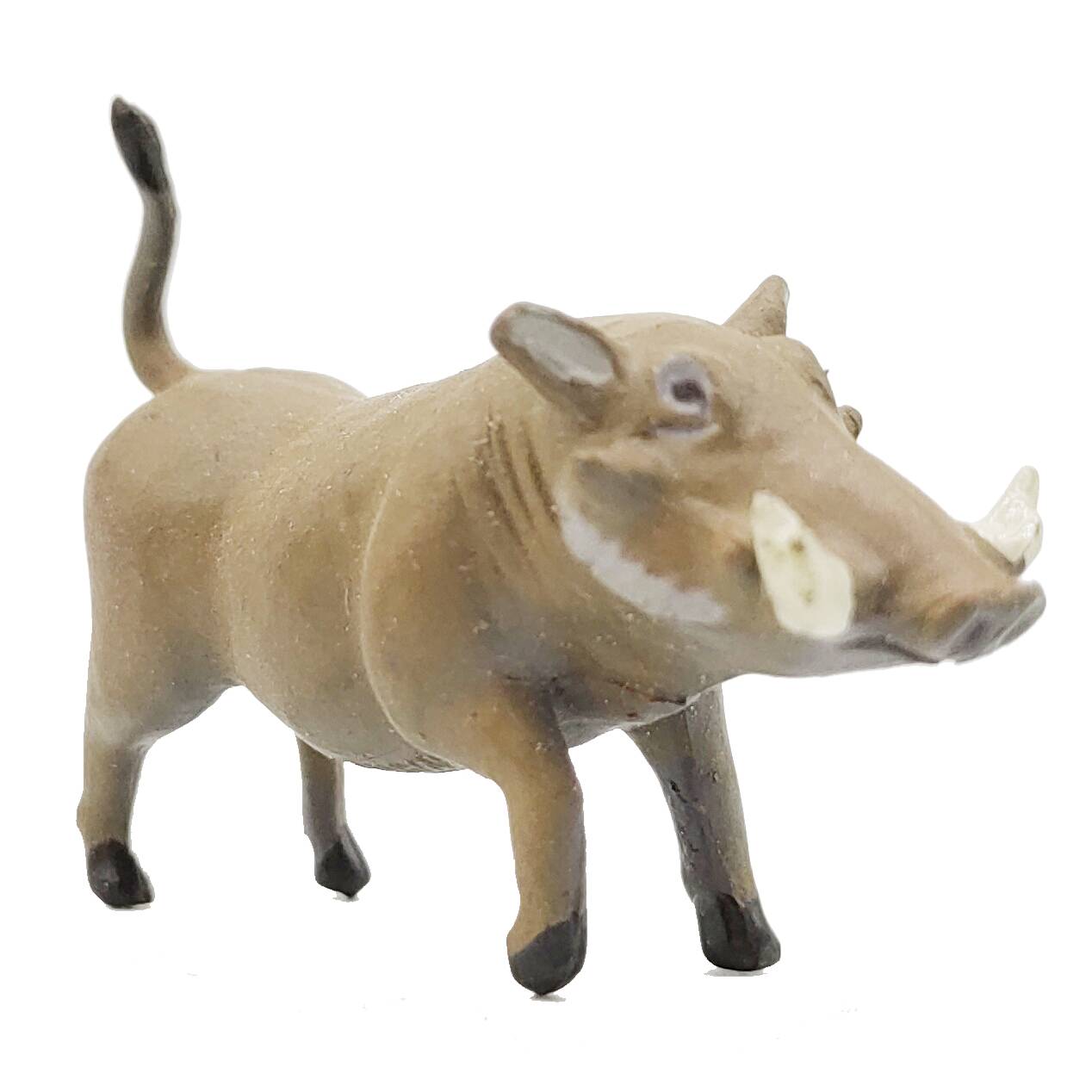 Desert wart simulation wildlife model