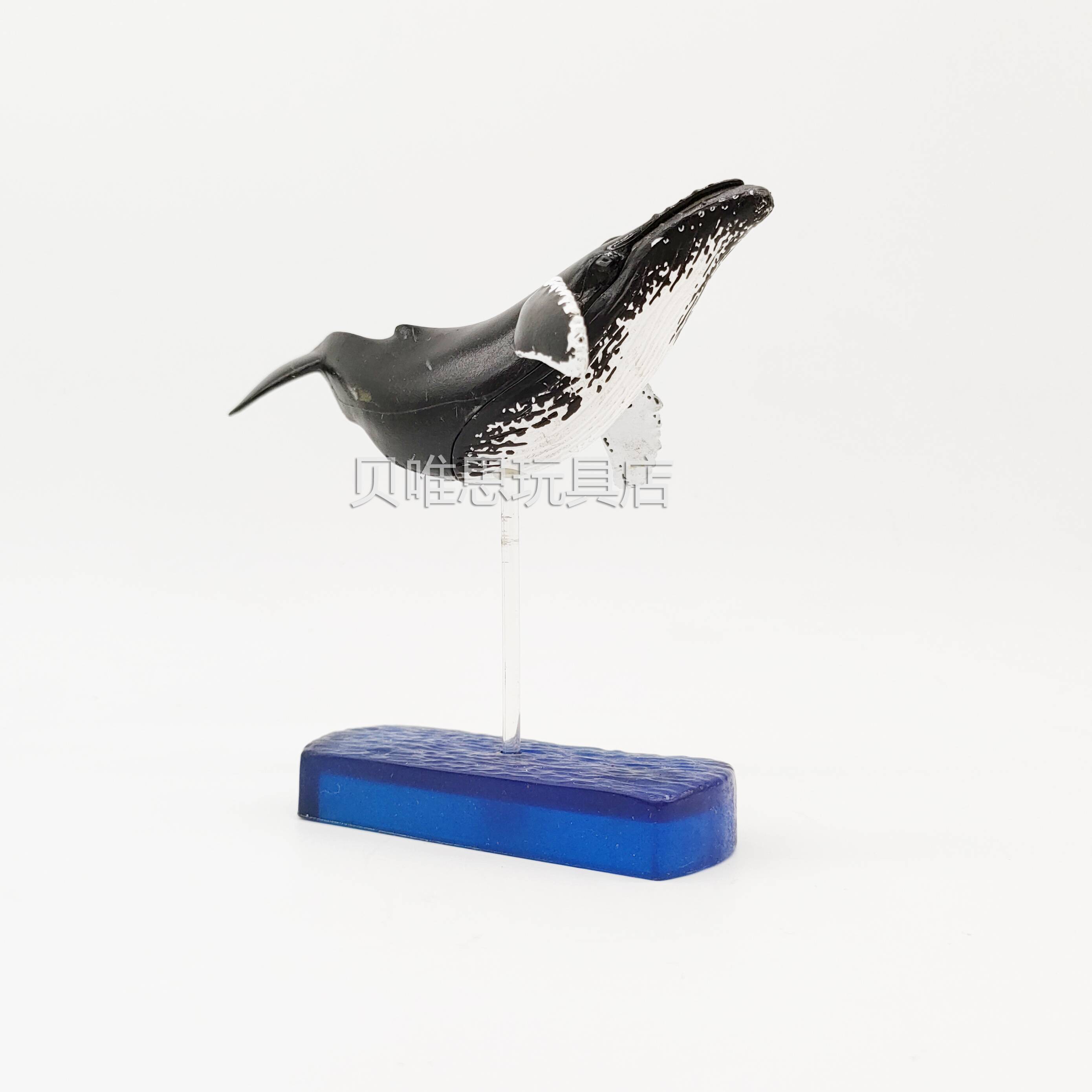 Horn humpback plastic simulation marine animal model