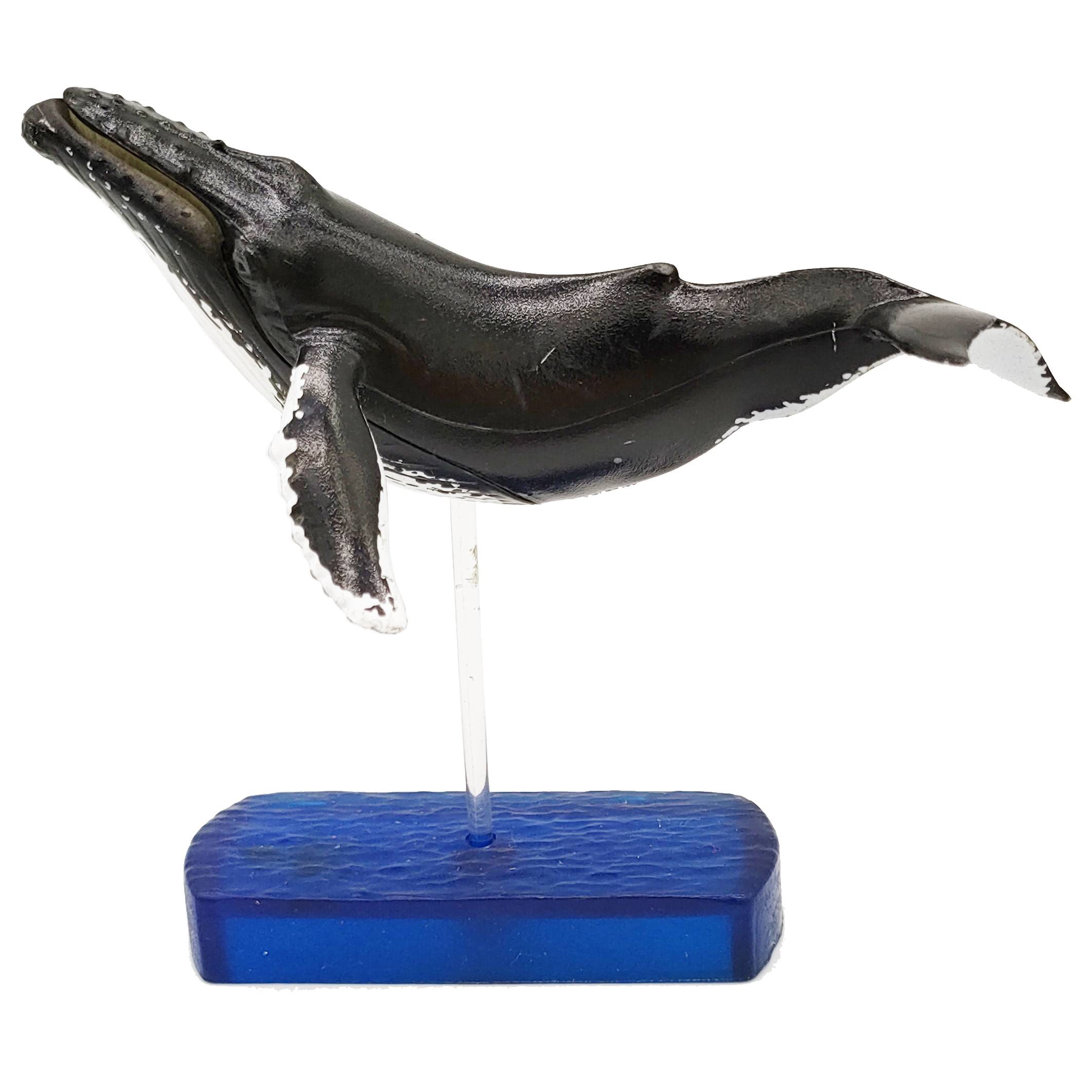 Horn humpback plastic simulation marine animal model