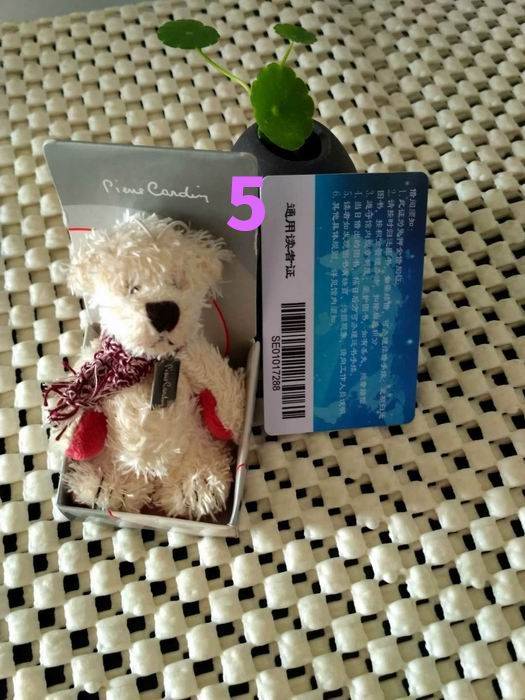 Pipi Card anniversary commemorative Dabao Thai brother bear bag pendant small hanging jewelry