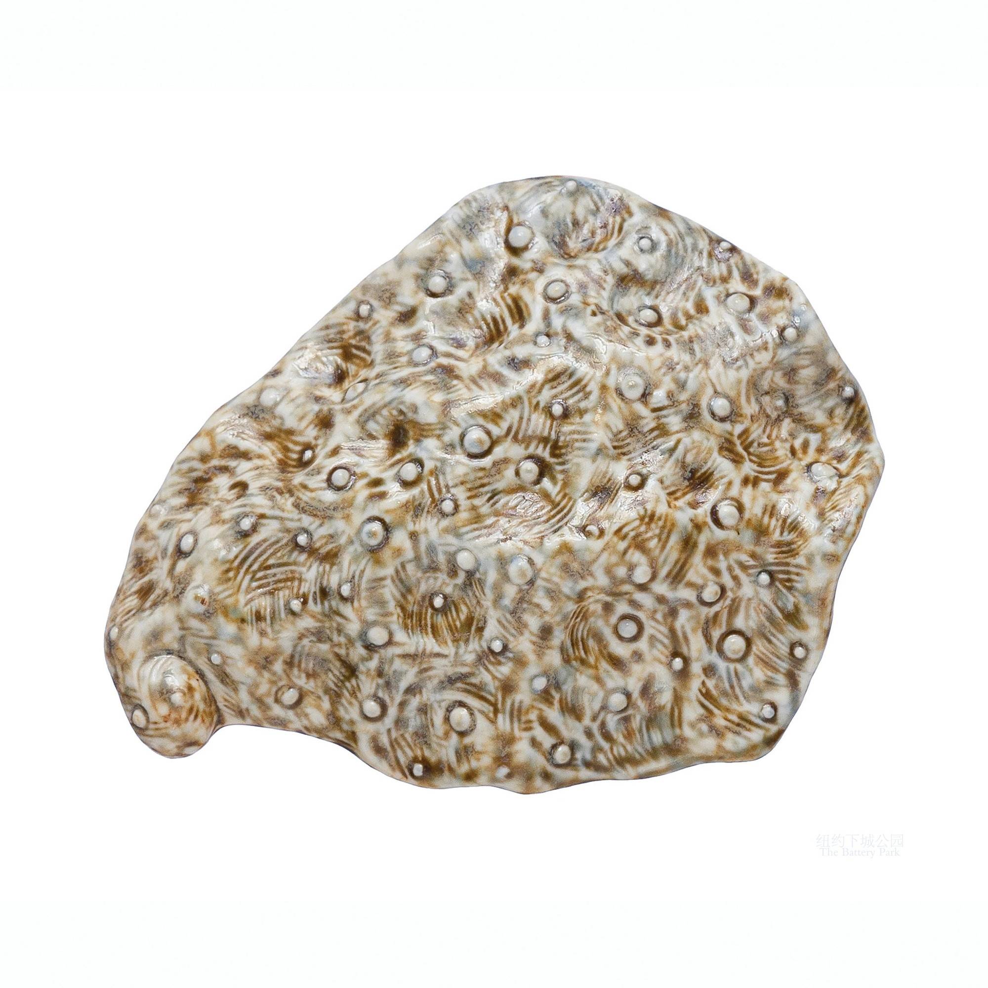 Secret Treasure Oyster Ceramic Decoration Box