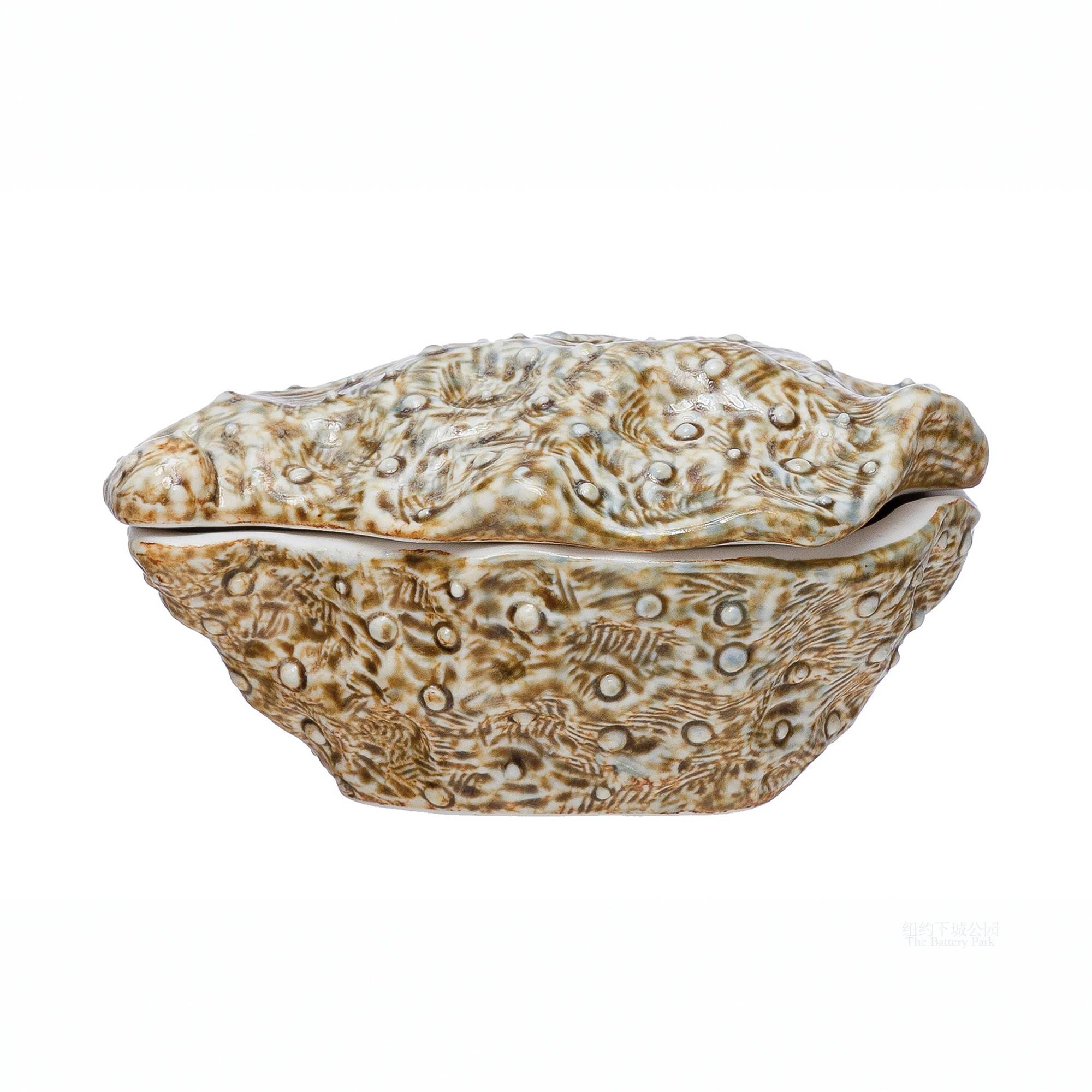Secret Treasure Oyster Ceramic Decoration Box