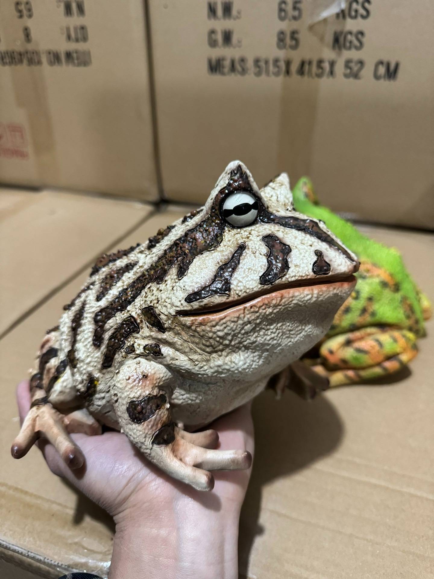 Simulation of the Brazilian horn frog model, last 6.The overall is very realistic and large.What is done