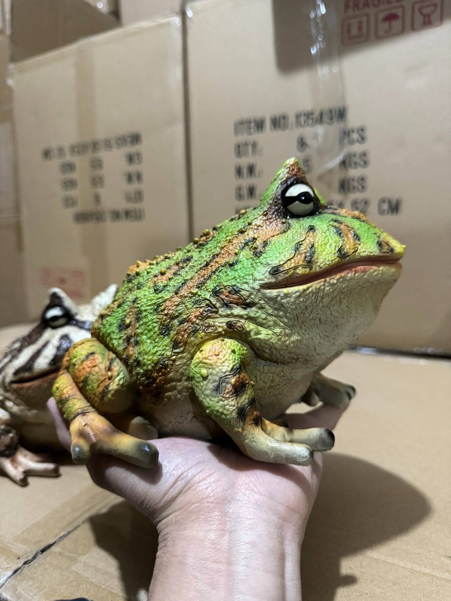 Simulation of the Brazilian horn frog model, last 6.The overall is very realistic and large.What is done