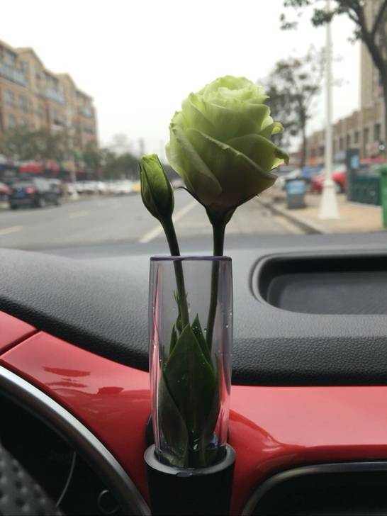 New Crustal Worm vase resin car is nostalgic for old Beetle