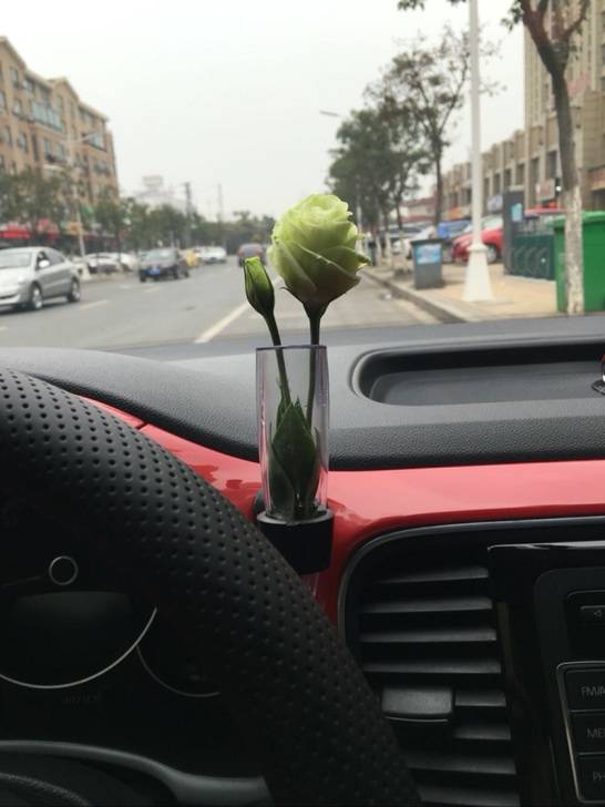 New Crustal Worm vase resin car is nostalgic for old Beetle